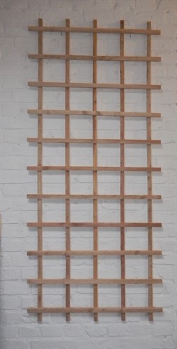 Spaljé Lärk, rekt 74 x 172 cm